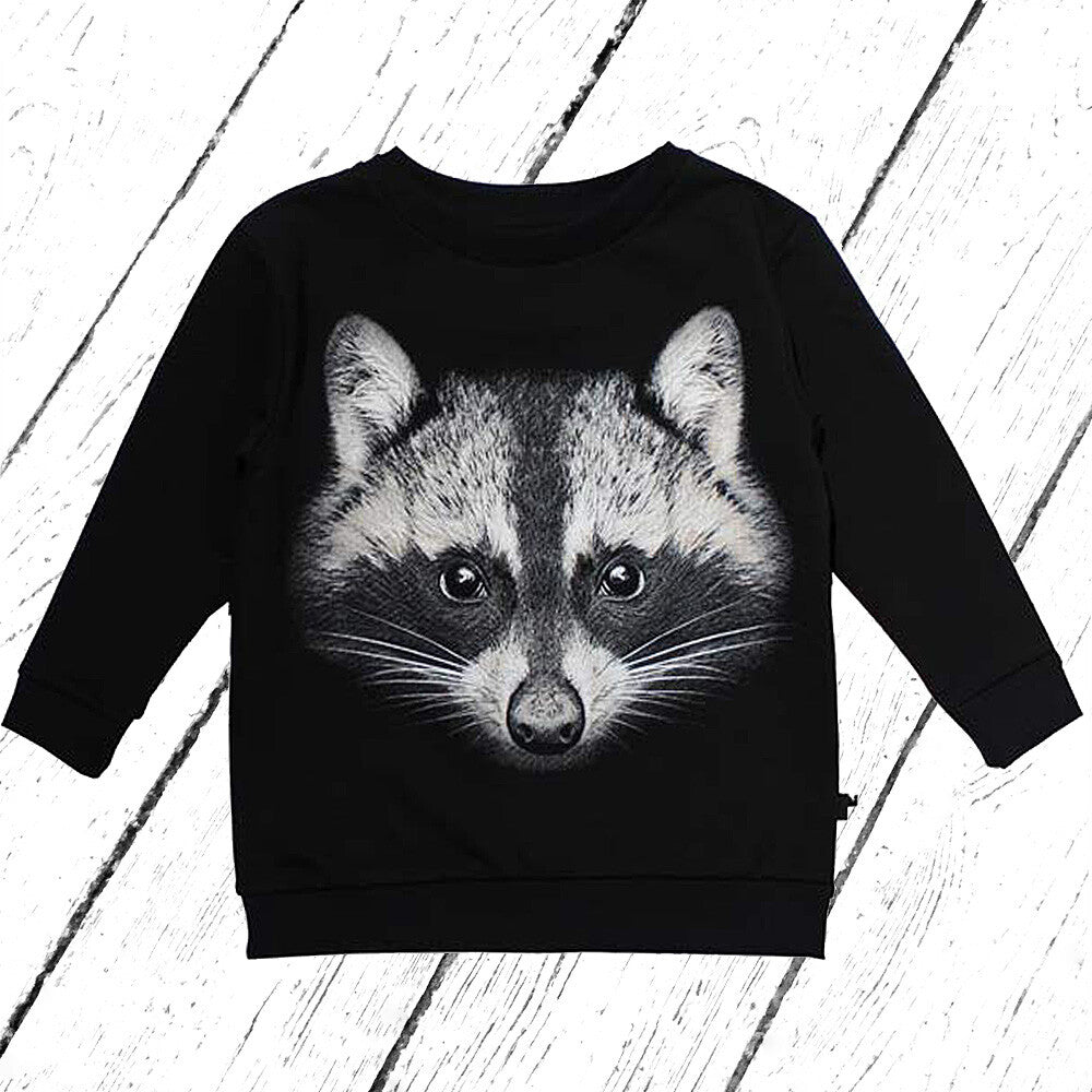 MOI KIDZ Sweater Racoon