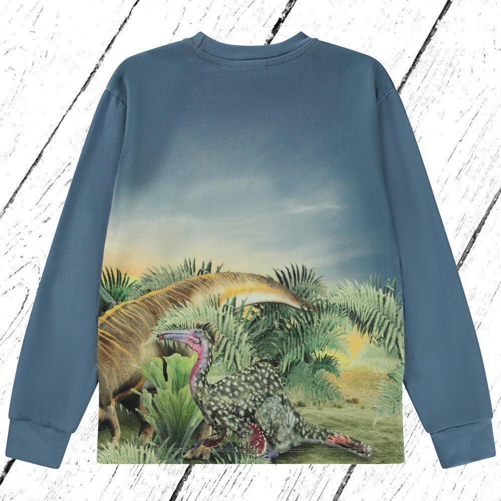 Molo Shirt Rexton Dino Friends