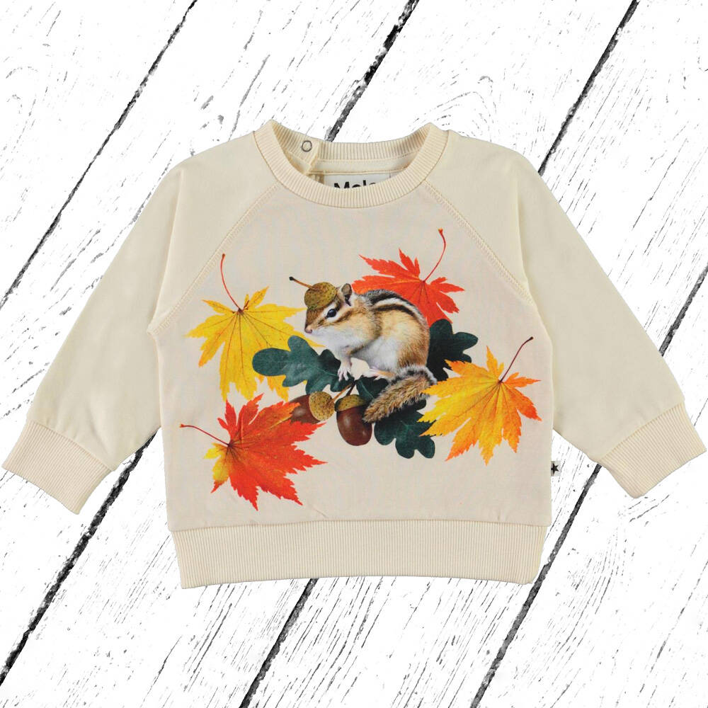 Molo Sweatshirt Elsa Tiny Chipmunks