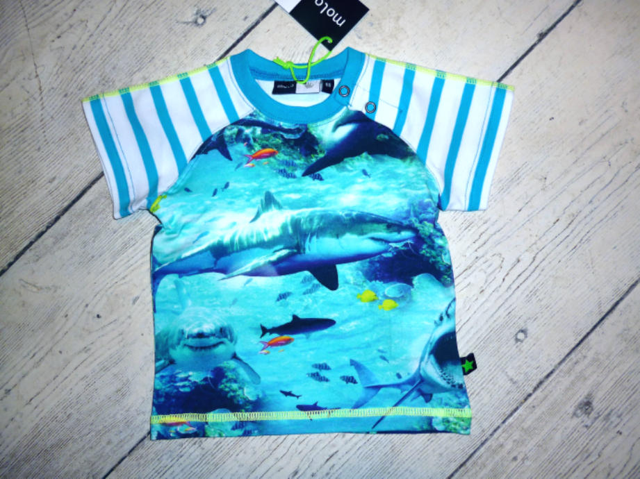 Molo T-Shirt &