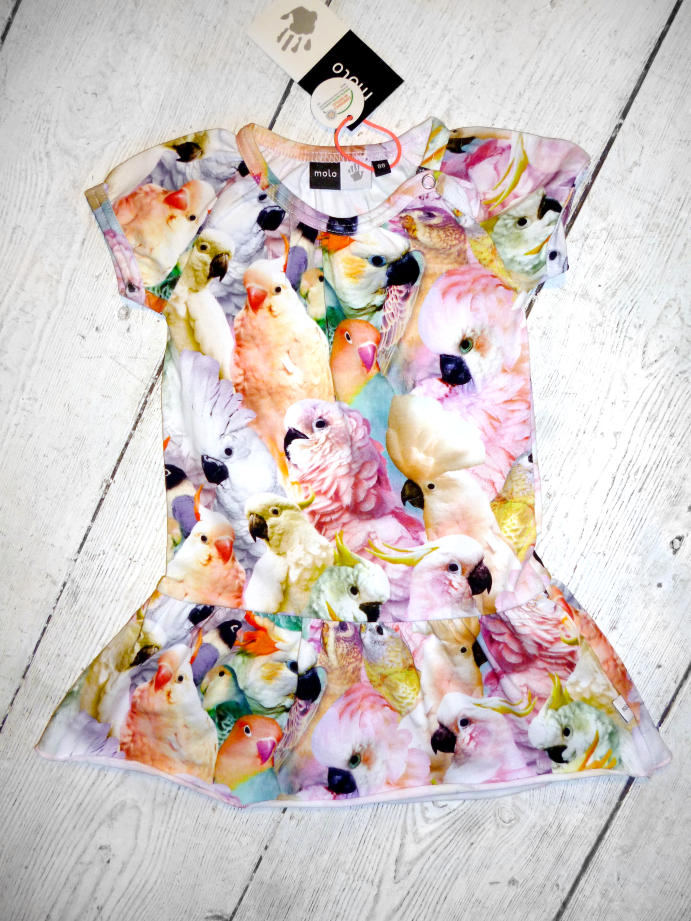 Molo Kleid Cibbe Cockatoo