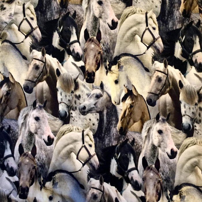 Molo Body Fonda Horse Spirit