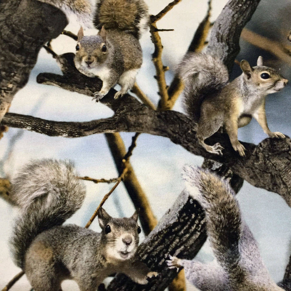 Molo Shirt Elton Squirrels