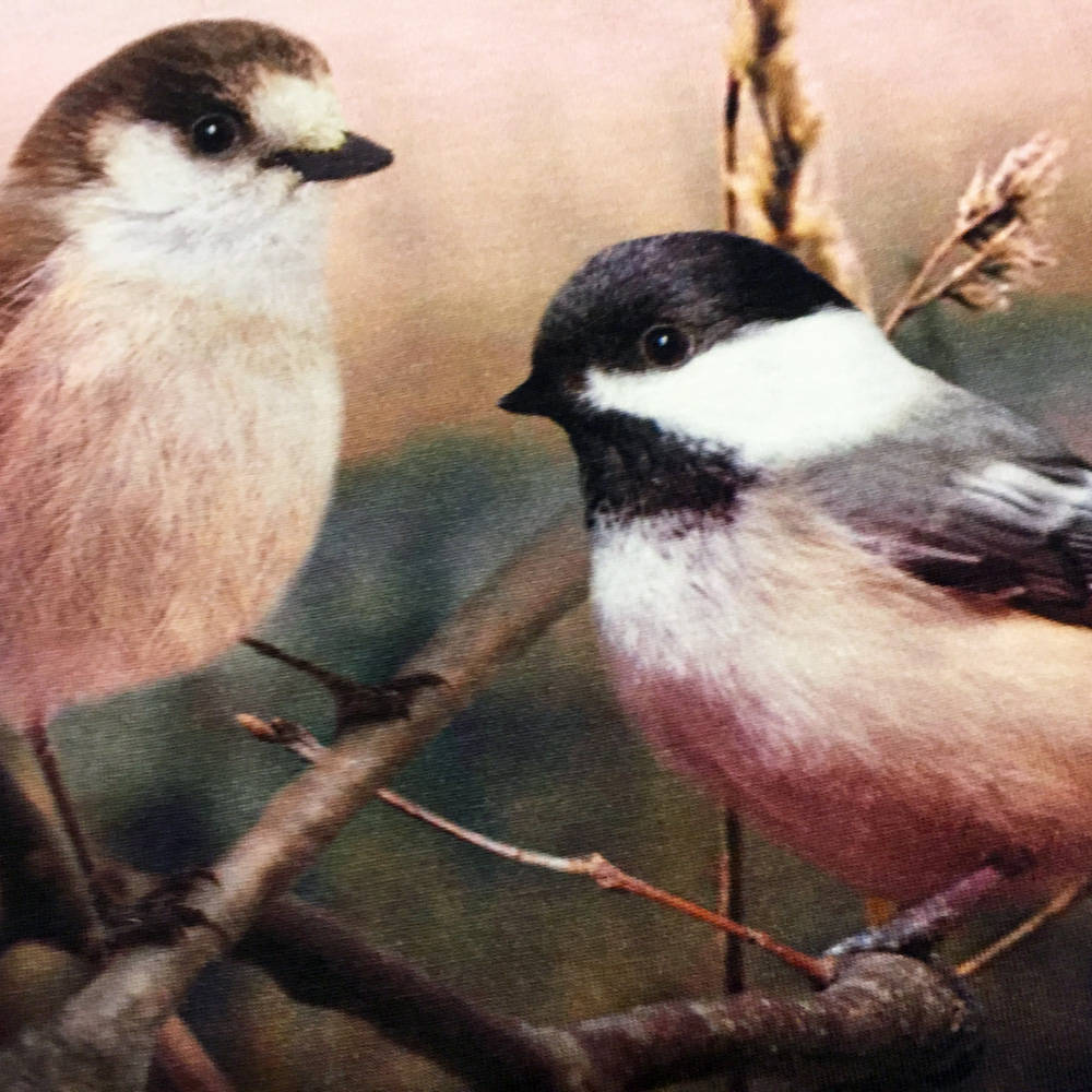 Molo Shirt Eline Tiny Birds