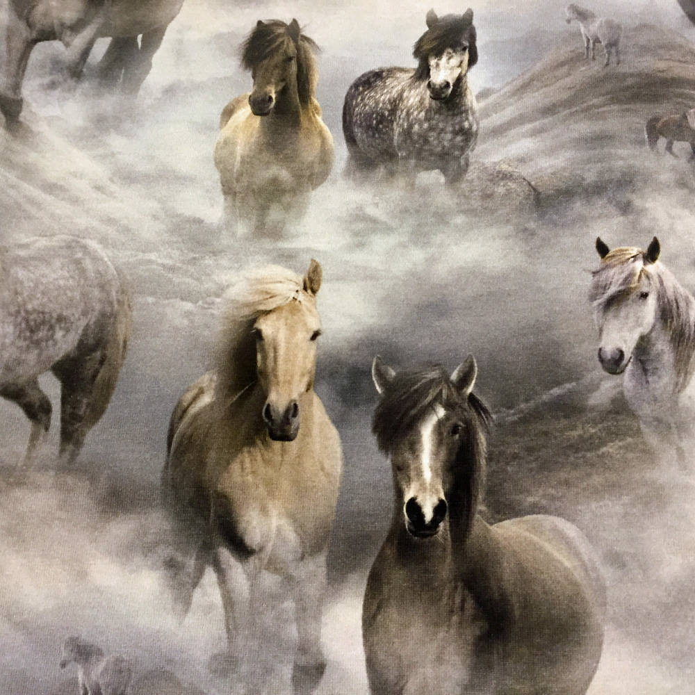 Molo Body Fonda Pony Jersey