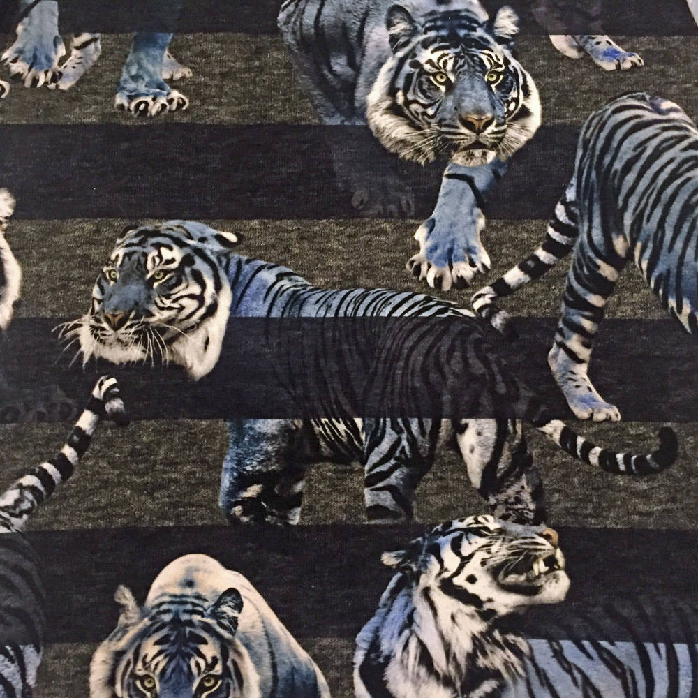 Molo Body Floyed Blue Tigers