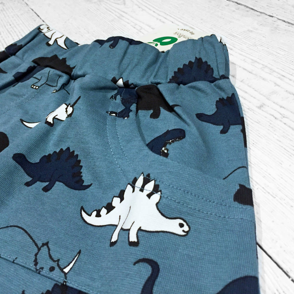 Smafolk Pants with Dinosaur