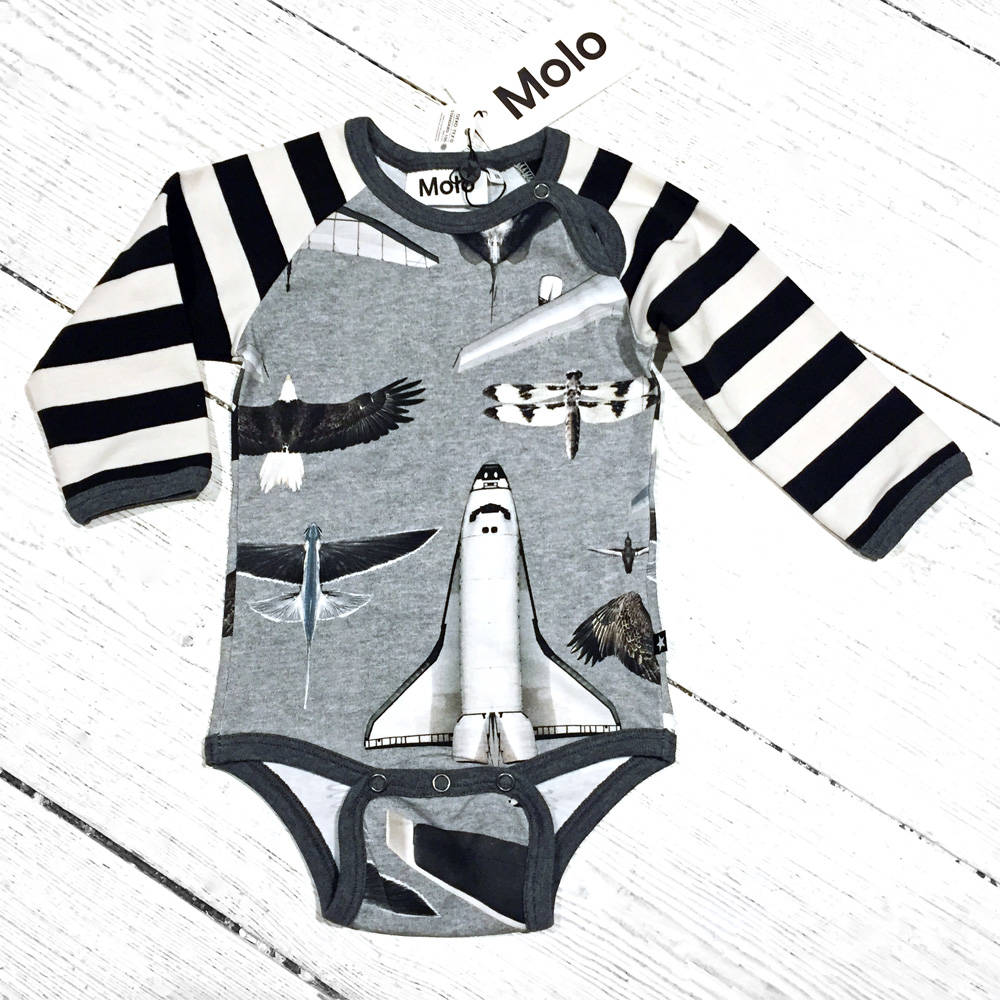 Molo Body Floyed Planes and Birds