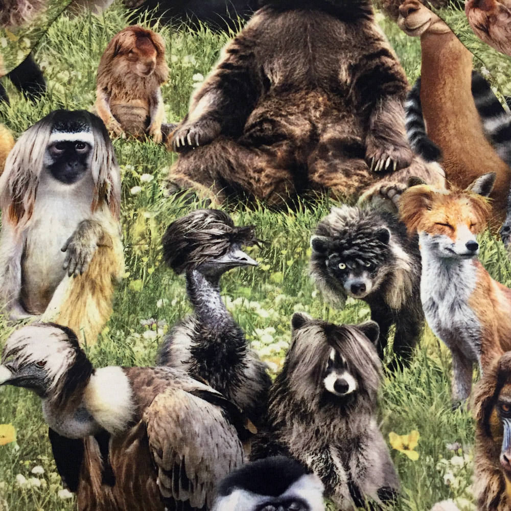 Molo Overall Fleming Hairy Animals