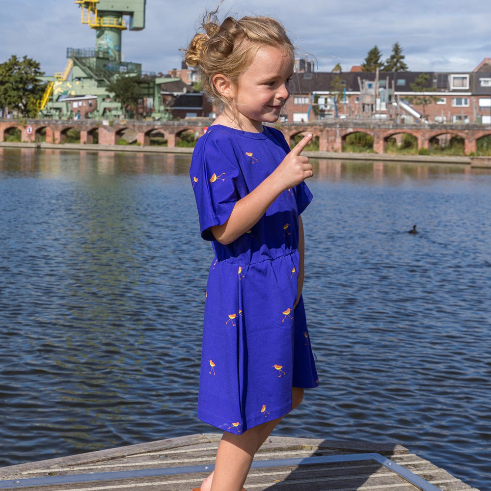 Baba Kidswear Kleid Harper Dress Birds