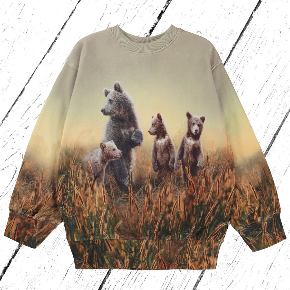 Molo Sweater Mattis Bear Life