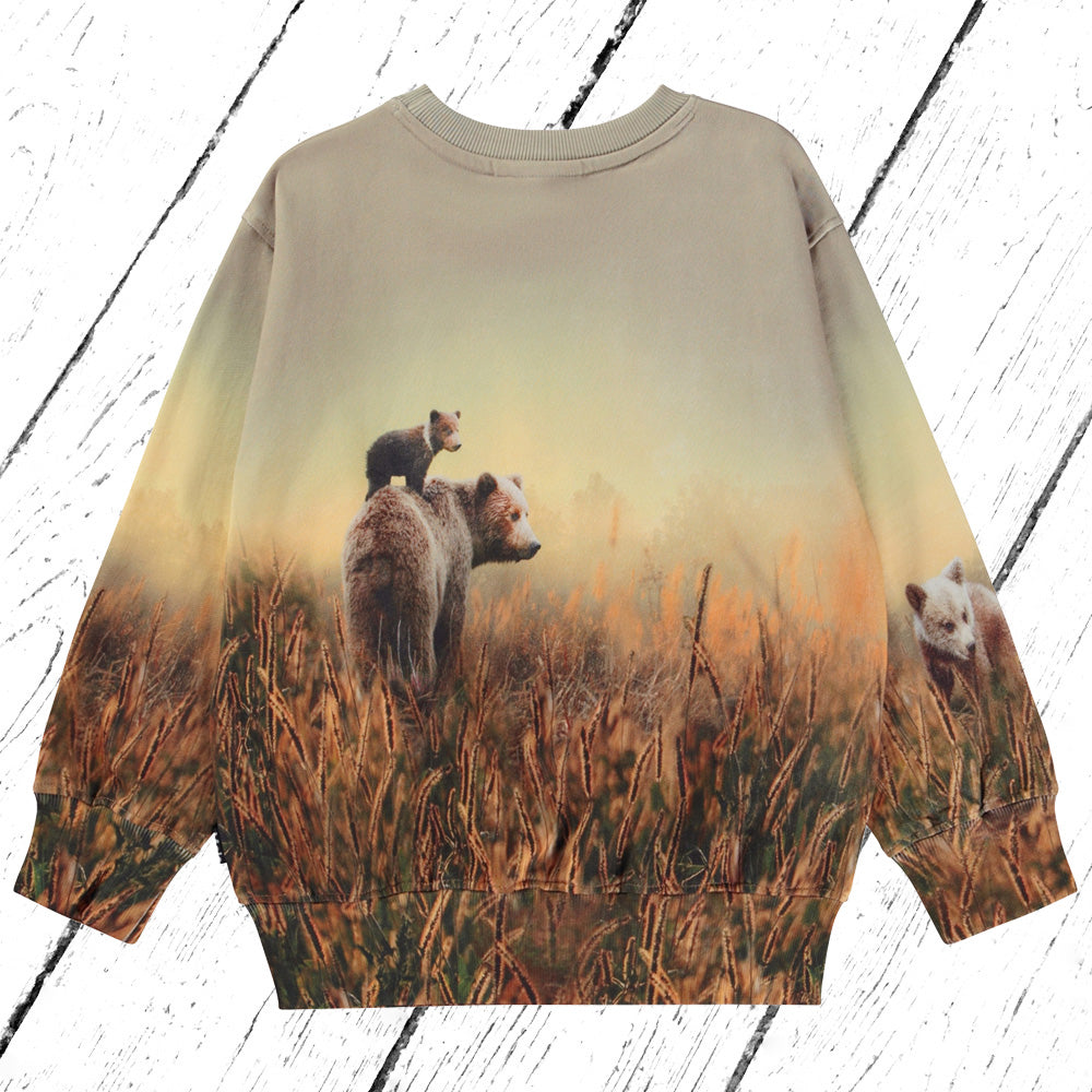 Molo Sweater Mattis Bear Life