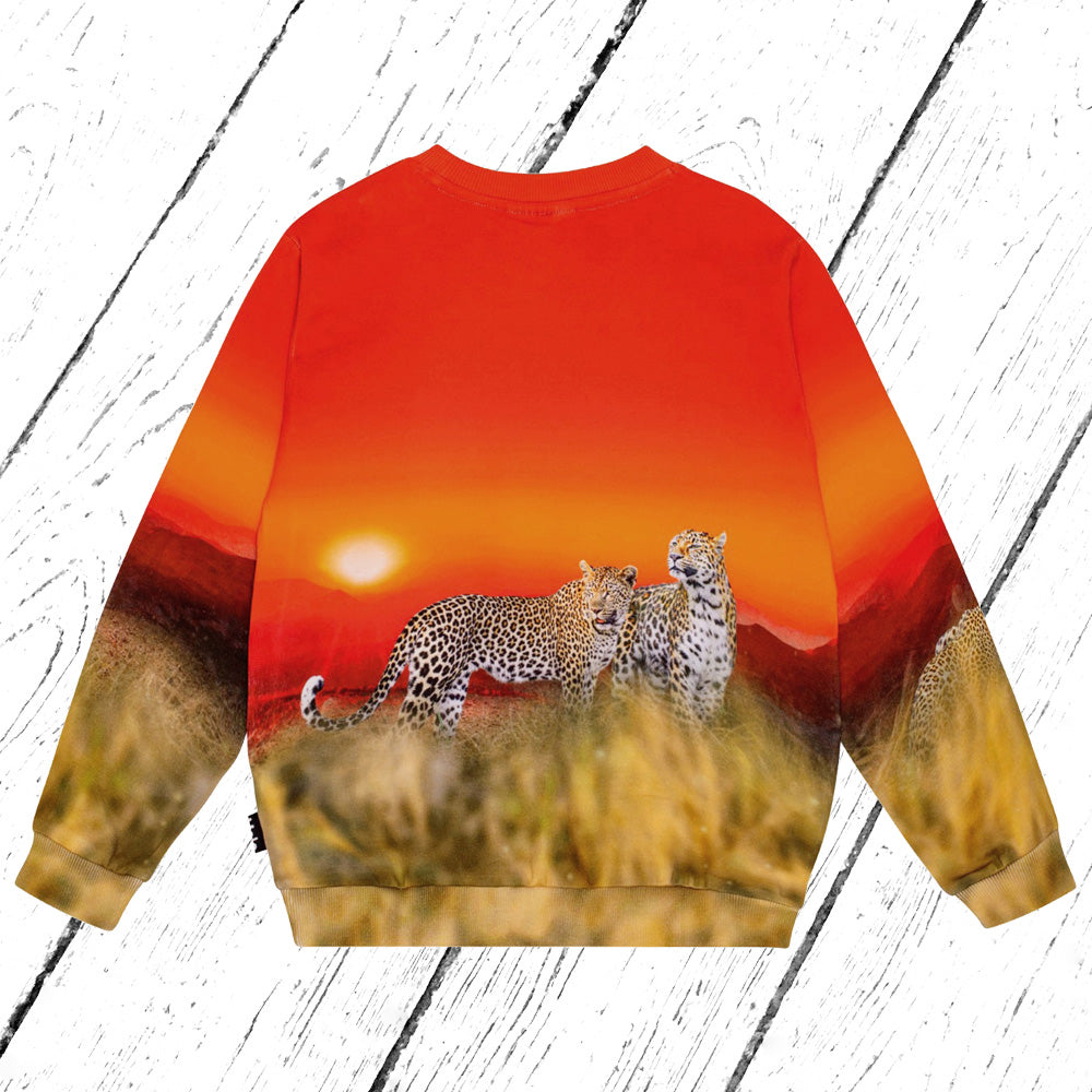 Molo Sweater Miksi Red Sky Leopard