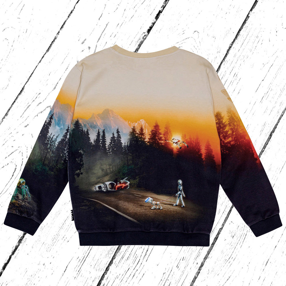 Molo Sweater Miksi Virtual World