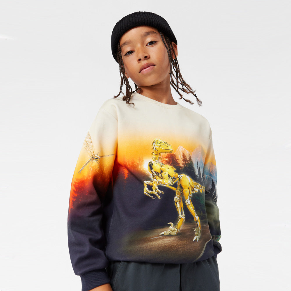 Molo Sweater Miksi Virtual World