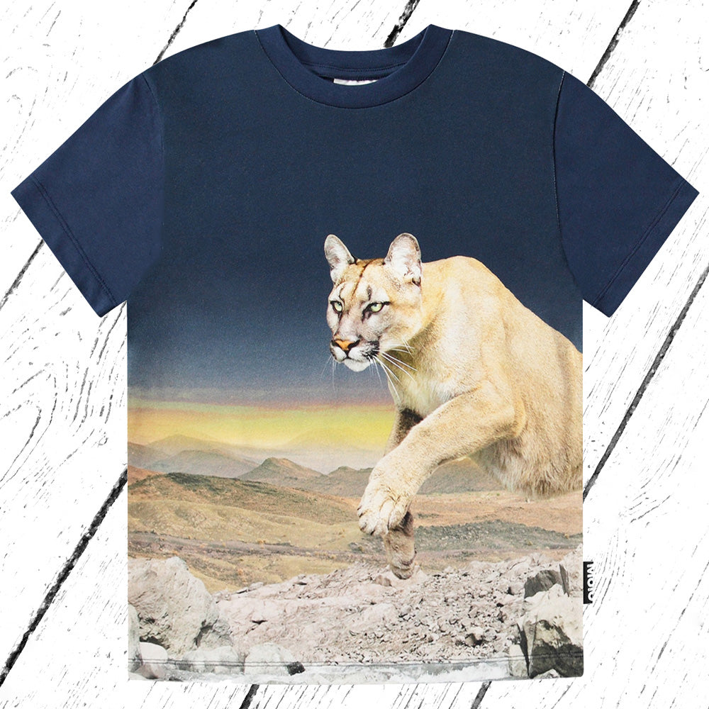 Molo T-Shirt Roxo Puma Blue