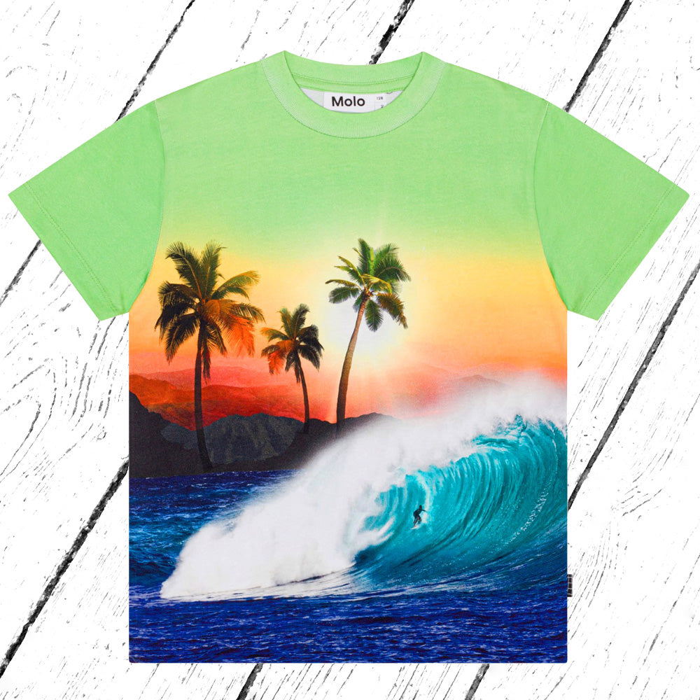 Molo T-Shirt Roxo Green Sunset