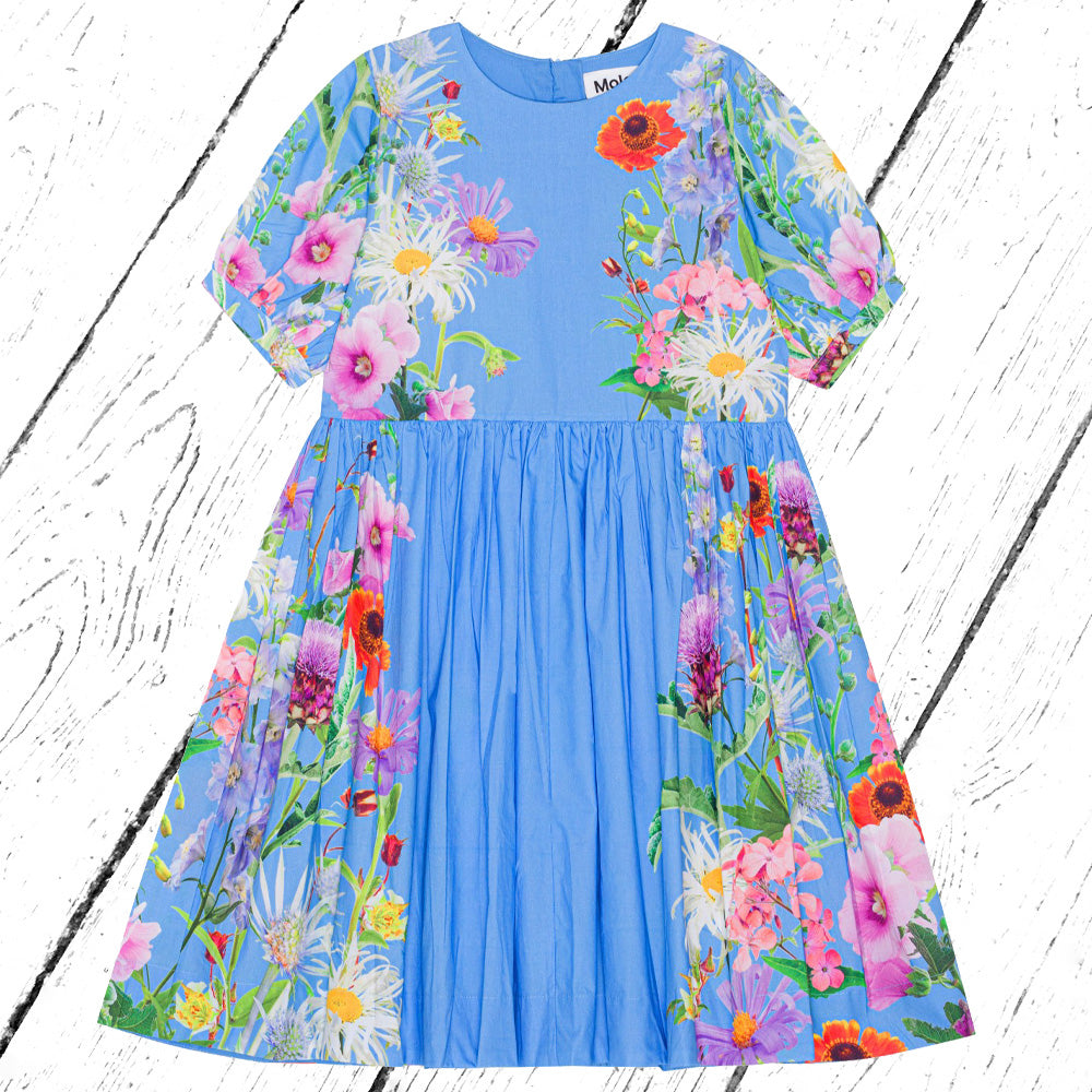 Molo Kleid Casey Blue Garden