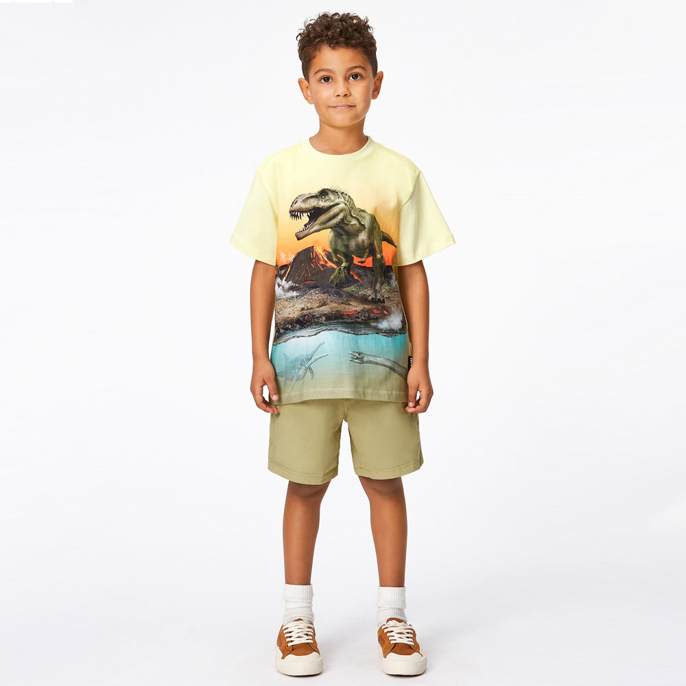 Molo T-Shirt Riley Volcano Dino