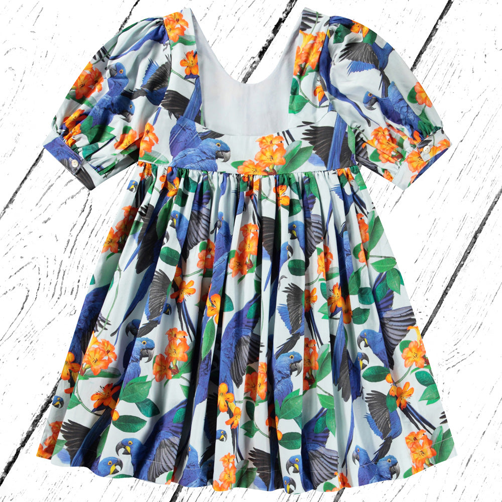 Molo Kleid Camilo Macaws Blue