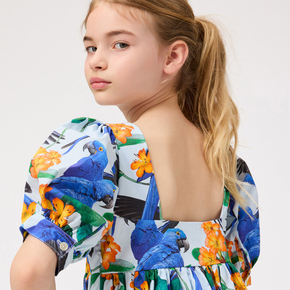 Molo Kleid Camilo Macaws Blue