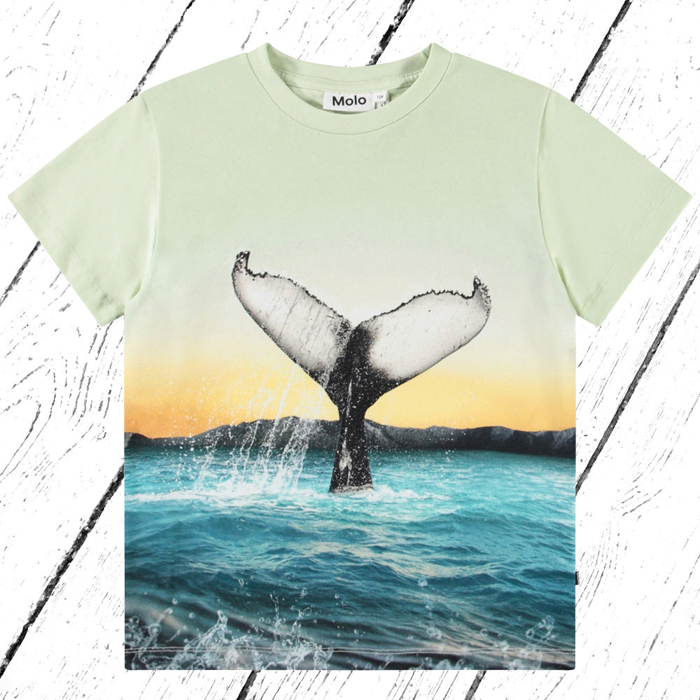 Molo T-Shirt Rame Whale Tail