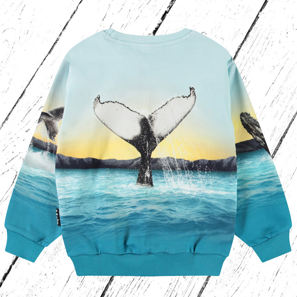 Molo Sweater Miksi Whale Jump