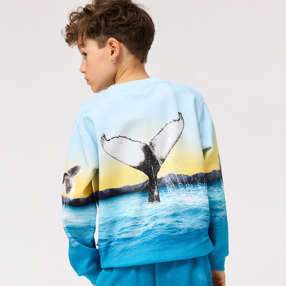 Molo Sweater Miksi Whale Jump