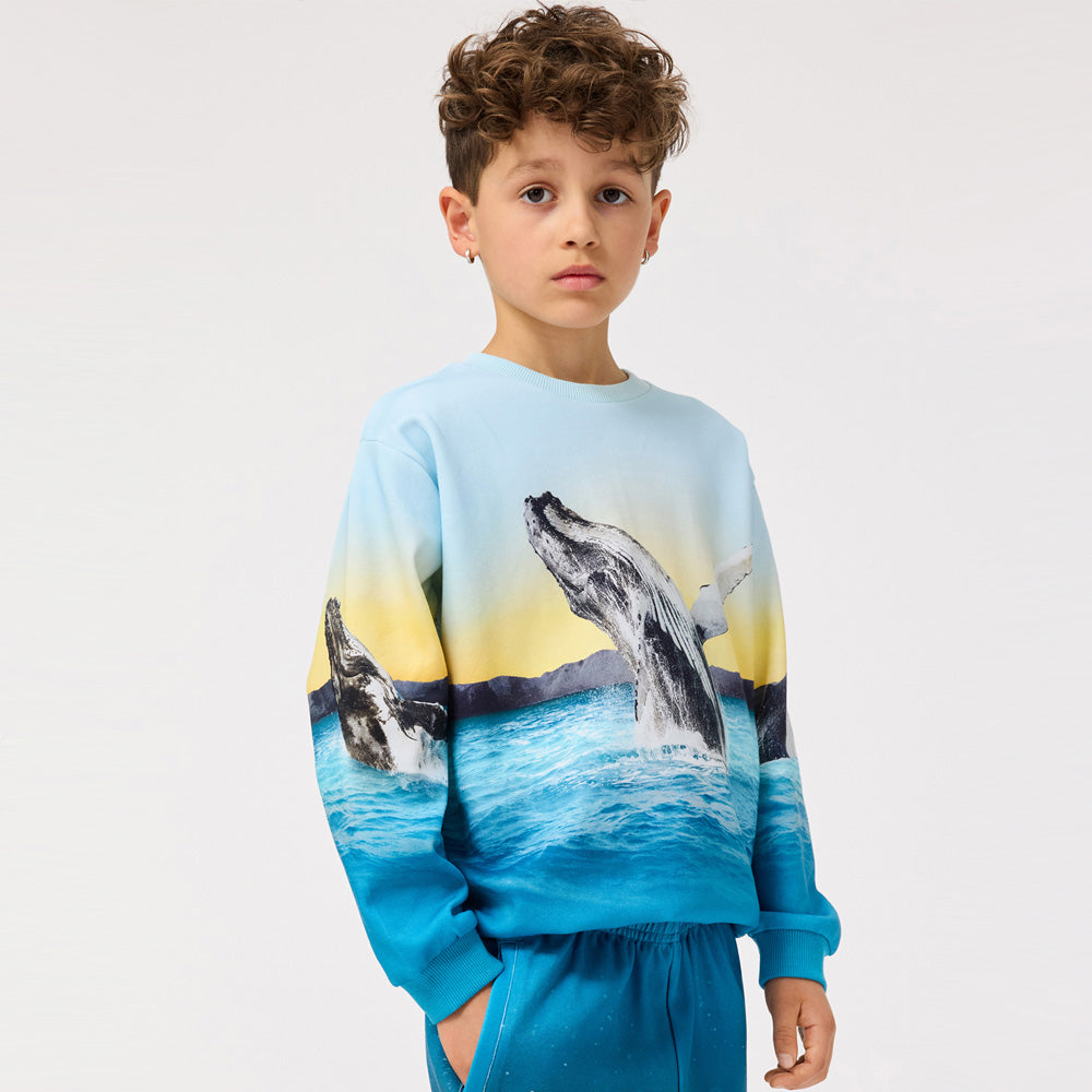 Molo Sweater Miksi Whale Jump