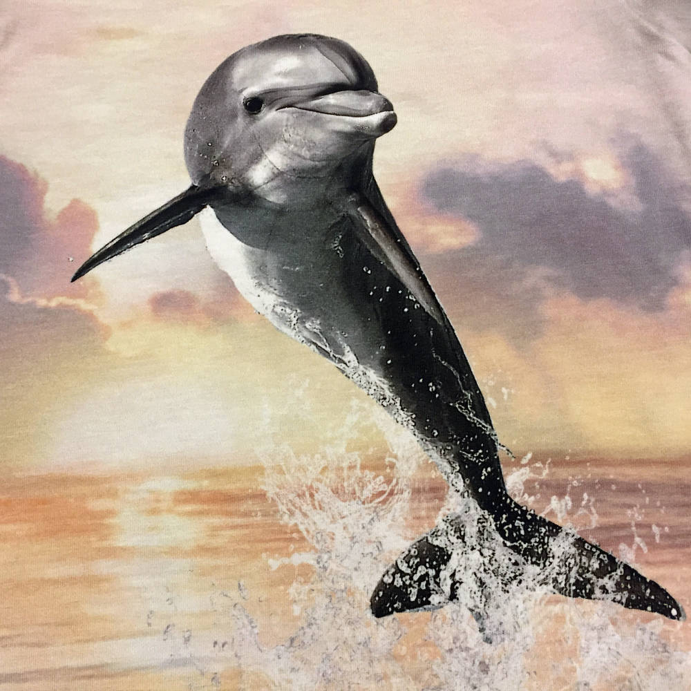 Molo Kleid Corina Jumping Dolphin