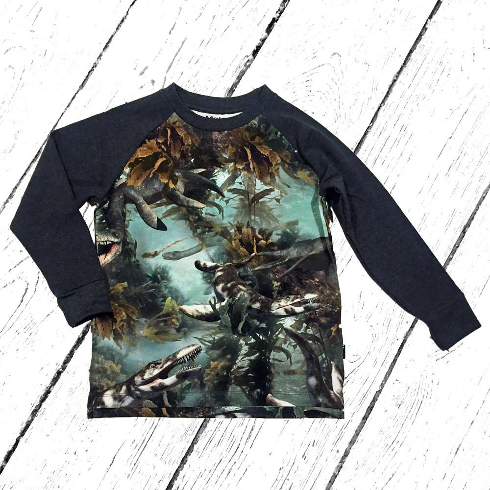 Molo Shirt Ramiz Lake Monsters