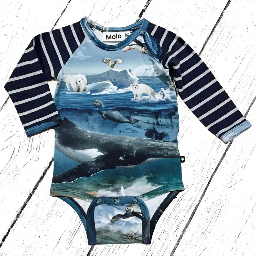 Molo Body Floyd Arctic Landscape