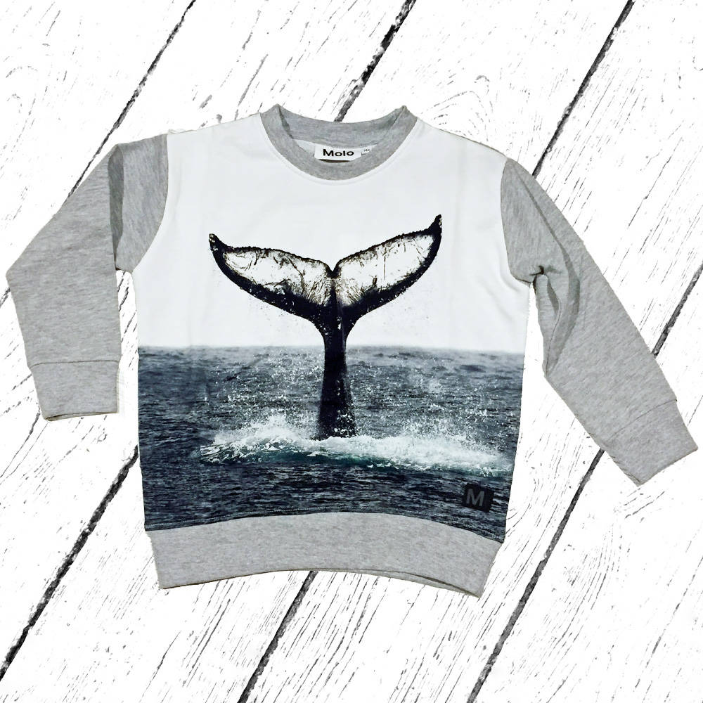 Molo Sweater Morell Whale Tail