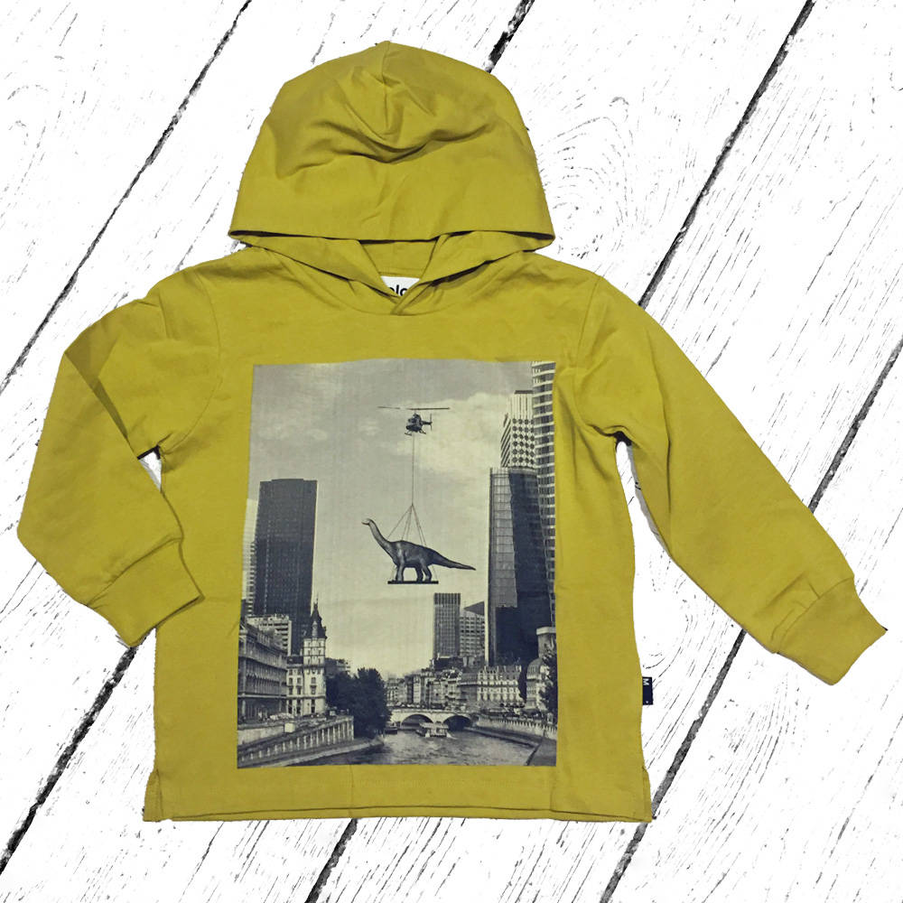 Molo Hoody Robert Flying Dino