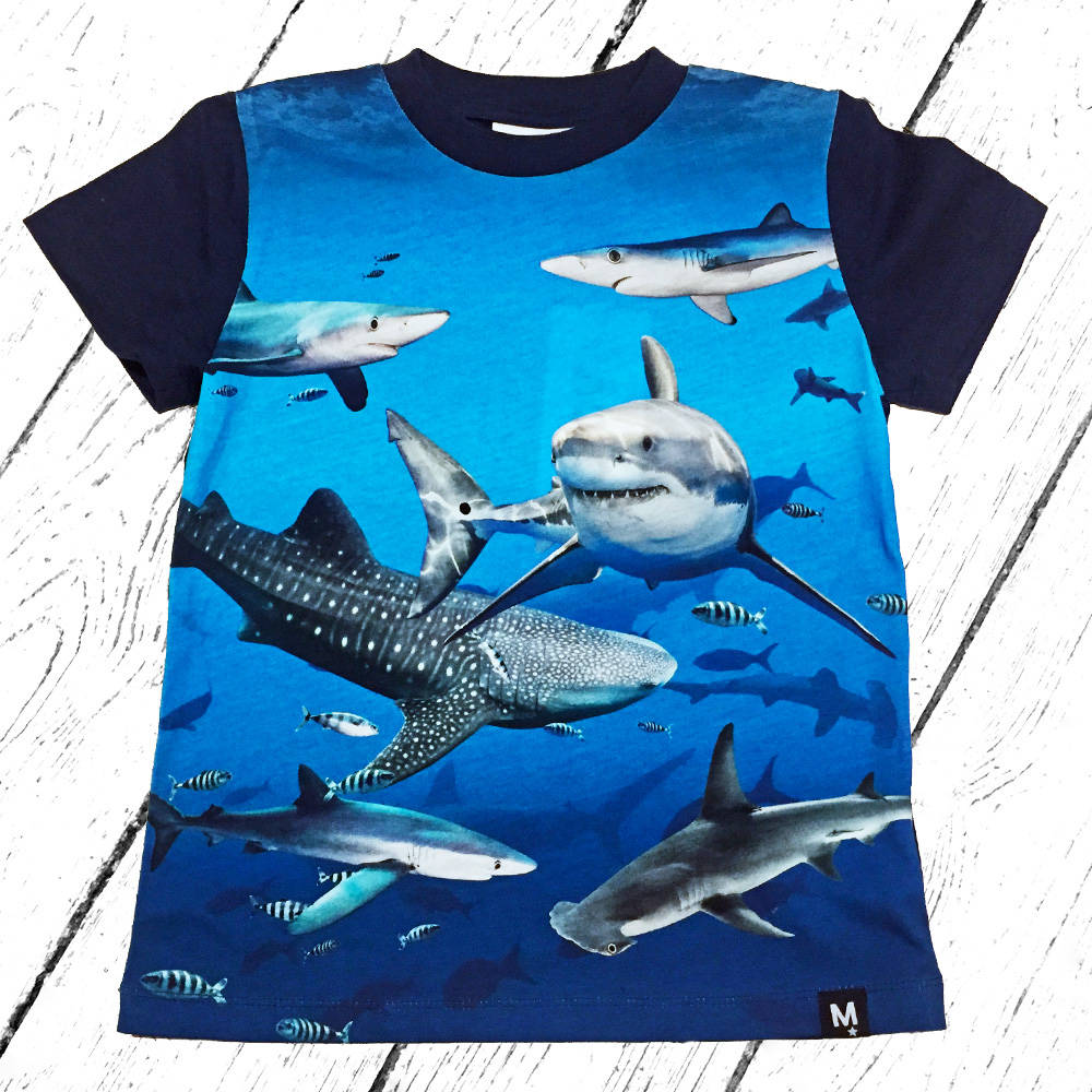 Molo T-Shirt Raymont Shark Smile