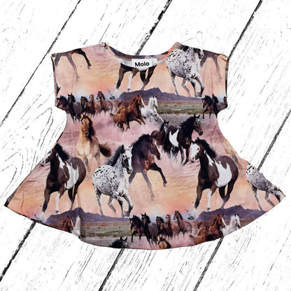 Molo T-Shirt Riva Wild Horses