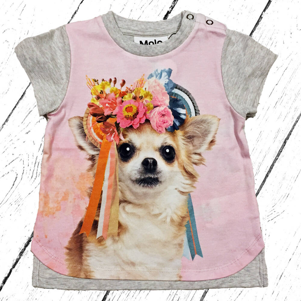 Molo T-Shirt Erin Chihuahua