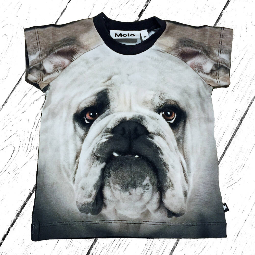 Molo T-Shirt Egon Black n White Bulldog
