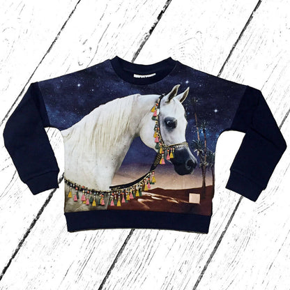 Molo Pulli Marigold Arabian Horse