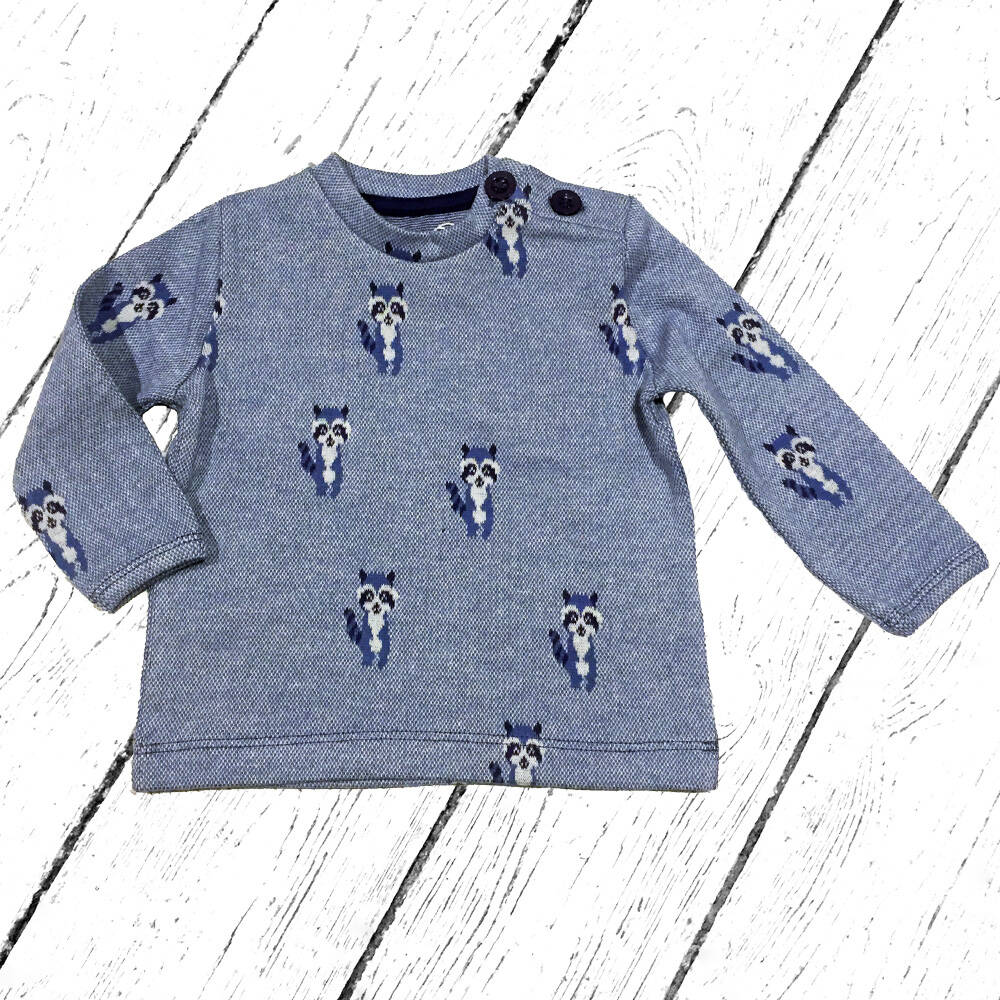 Lily Balou Pulli Francis Blocks Raccoon