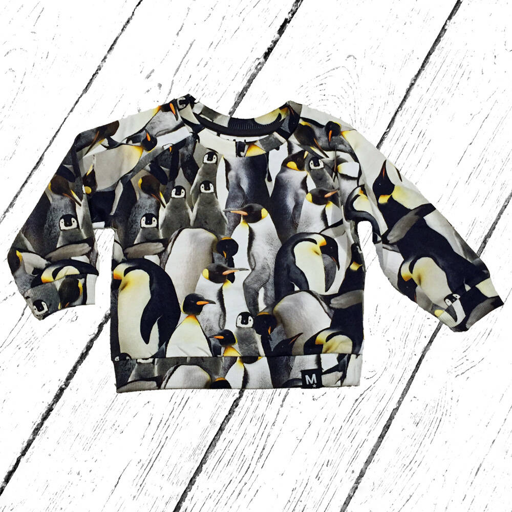 Molo Pulli Dag Penguins Galore