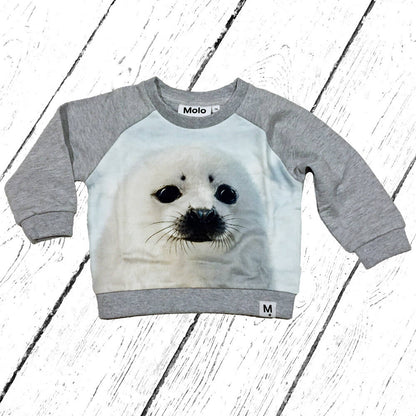 Molo Pulli Dag Seal Pup