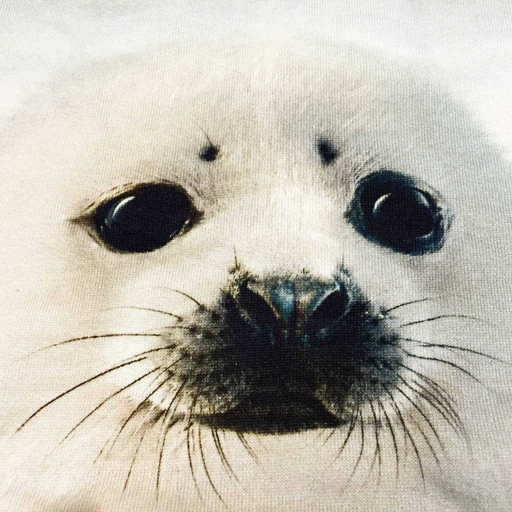 Molo Pulli Dag Seal Pup