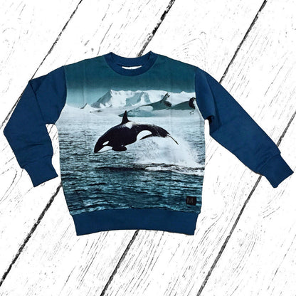 Molo Pulli Madsim Jumping Orca