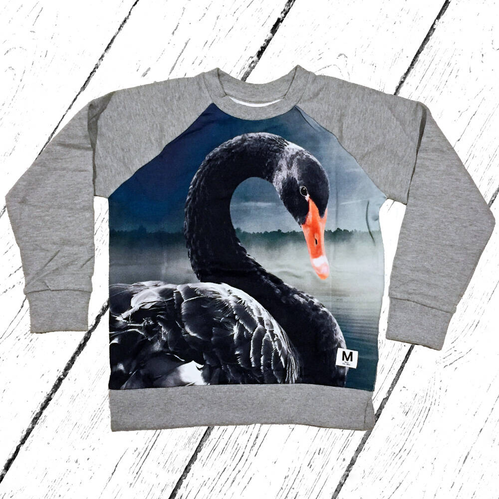 Molo Pulli Marina Black Swan