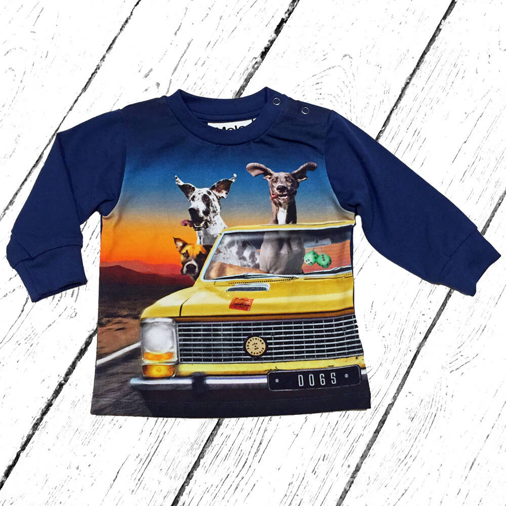 Molo Shirt Eloy Canine Cruise