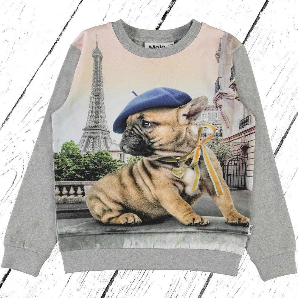 Molo Pulli Sweater Regine Tout le Monde