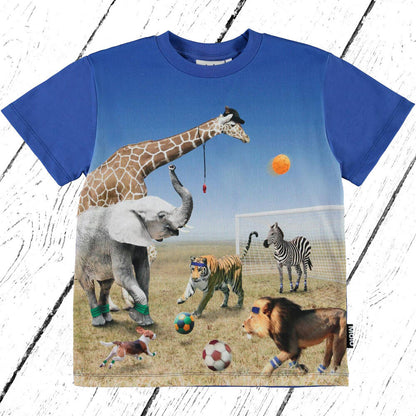 Molo T-Shirt Roxo Football Game