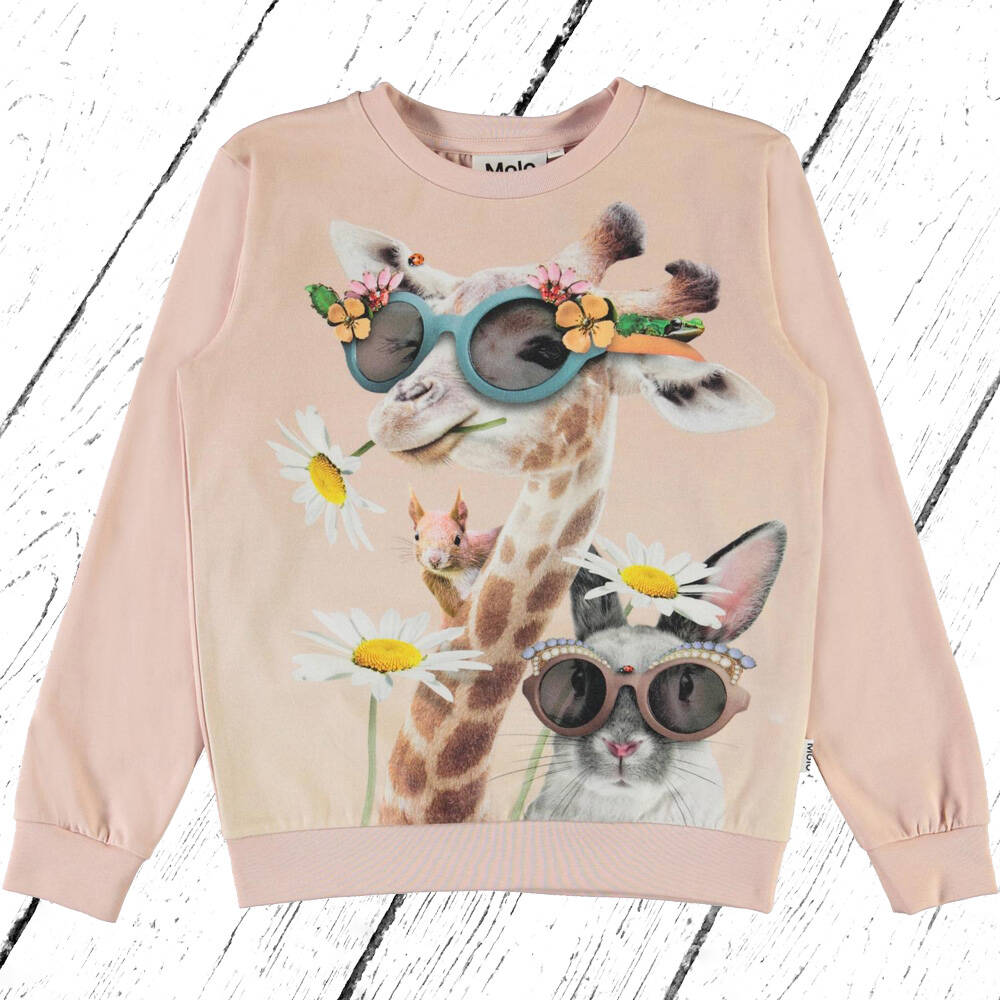 Molo Pulli Sweater Regine Silly Friends