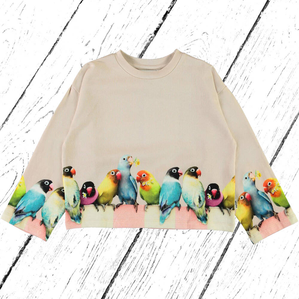 Molo Sweatshirt Mikko Love Birds Big